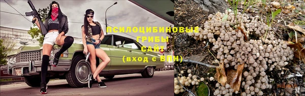 ECSTASY Белоозёрский